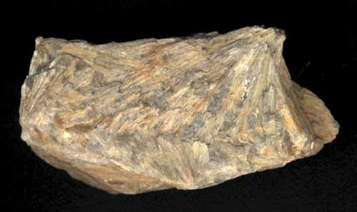 diaspor7.jpg (21782 bytes)